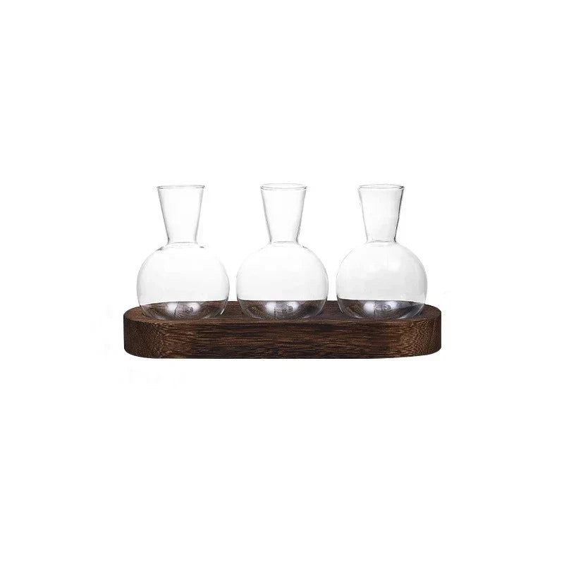 Transparent plant terrarium glass vase with wooden tray for indoor decor.