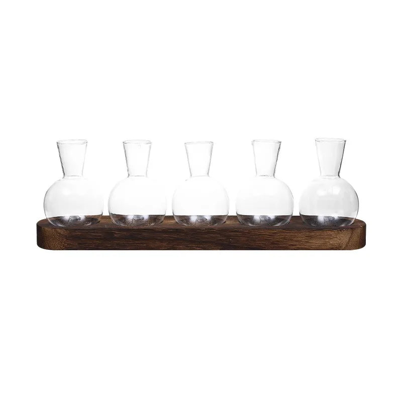 Plant terrarium glass vase with wooden tray for desktop decor.