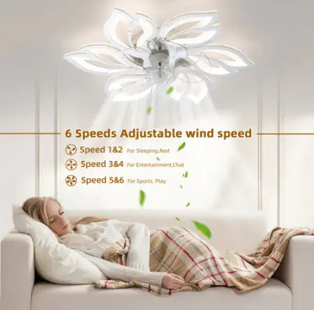 Modern acrylic ceiling fan with lights and remote control, 6 adjustable speeds