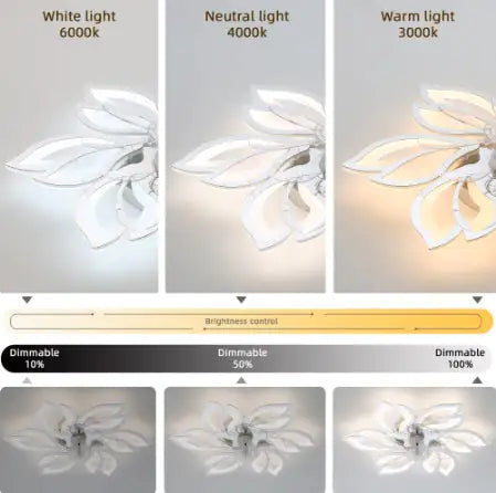 Modern acrylic ceiling fan with remote control, 3 color temperatures, and dimmable light settings