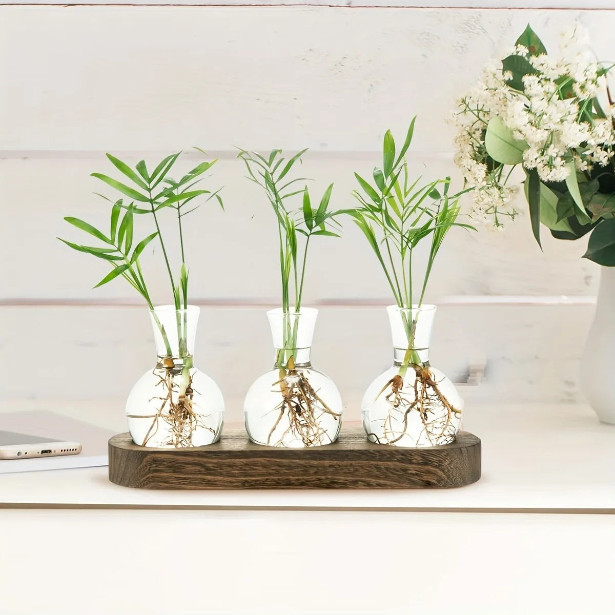 Modern plant terrarium glass vase with wooden tray, ideal for hydroponics propagation on indoor desktop.