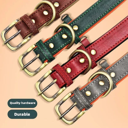 Colorful personalized leather custom dog collars with metal buckles and soft padding.