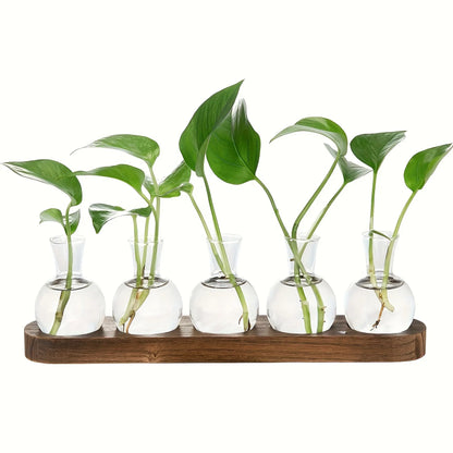 Modern glass plant terrarium with wooden tray, ideal for hydroponics and indoor decor.