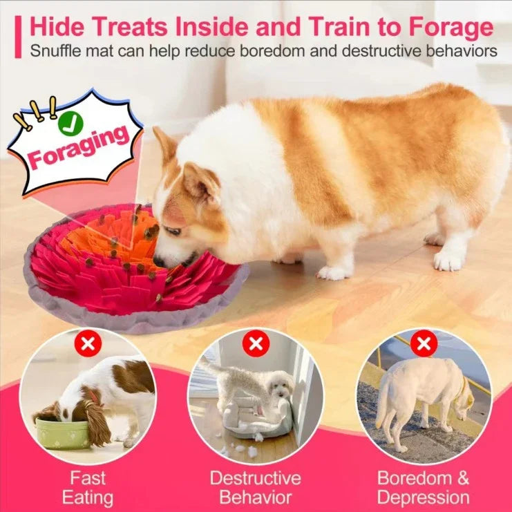 Dog using snuffle mat to forage and reduce boredom and destructive behaviors.
