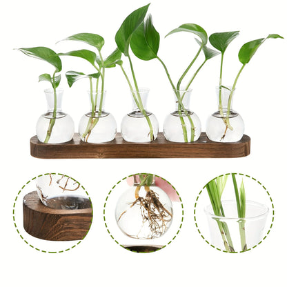 Modern glass plant terrarium vase with wooden tray, perfect for hydroponics and indoor decor.
