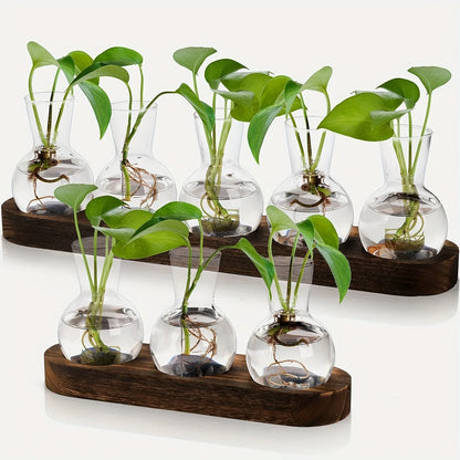 Plant terrarium glass vase set with plants, featuring transparent glass containers on a wooden tray for indoor decor.