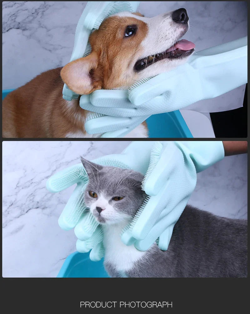pet grooming gloves used on dog and cat during bath time