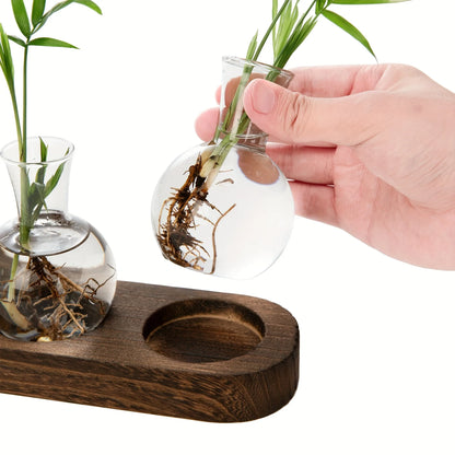 Plant terrarium glass vase with wooden tray, ideal for hydroponics and indoor decor.