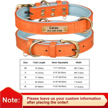 Personalized leather custom dog collar with ID tag, soft padded, adjustable, available in various sizes for small to large dogs.