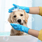 Dog being bathed with blue pet grooming gloves in a sudsy bath.