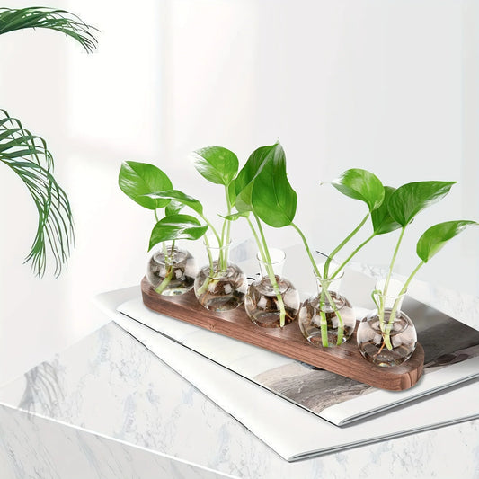 Plant terrarium glass vase with wooden tray for hydroponics propagation, indoor desktop decor.