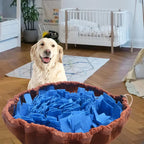snuffle mat for dogs in cozy room with happy dog nearby