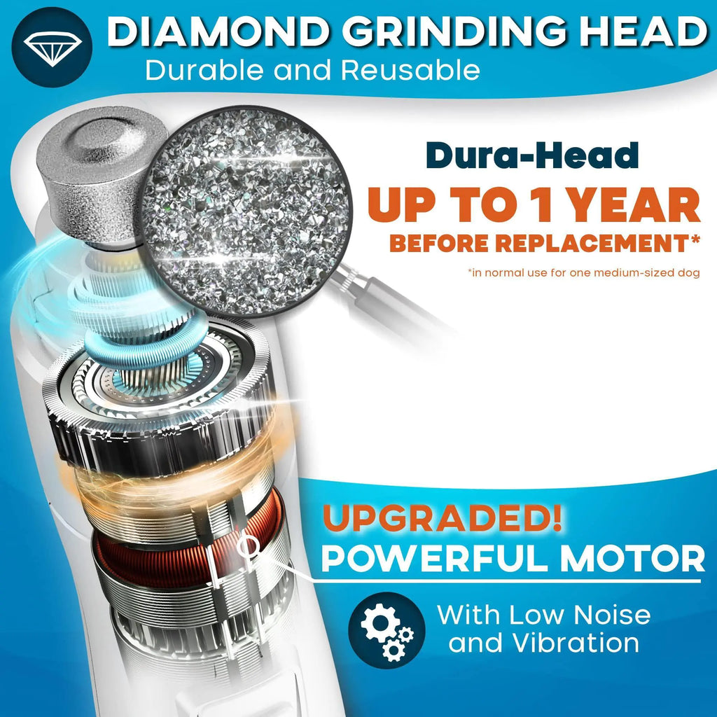Close-up of a diamond grinding head inside a dog nail grinder showing durable, reusable parts with upgraded powerful motor, low noise, and vibration features