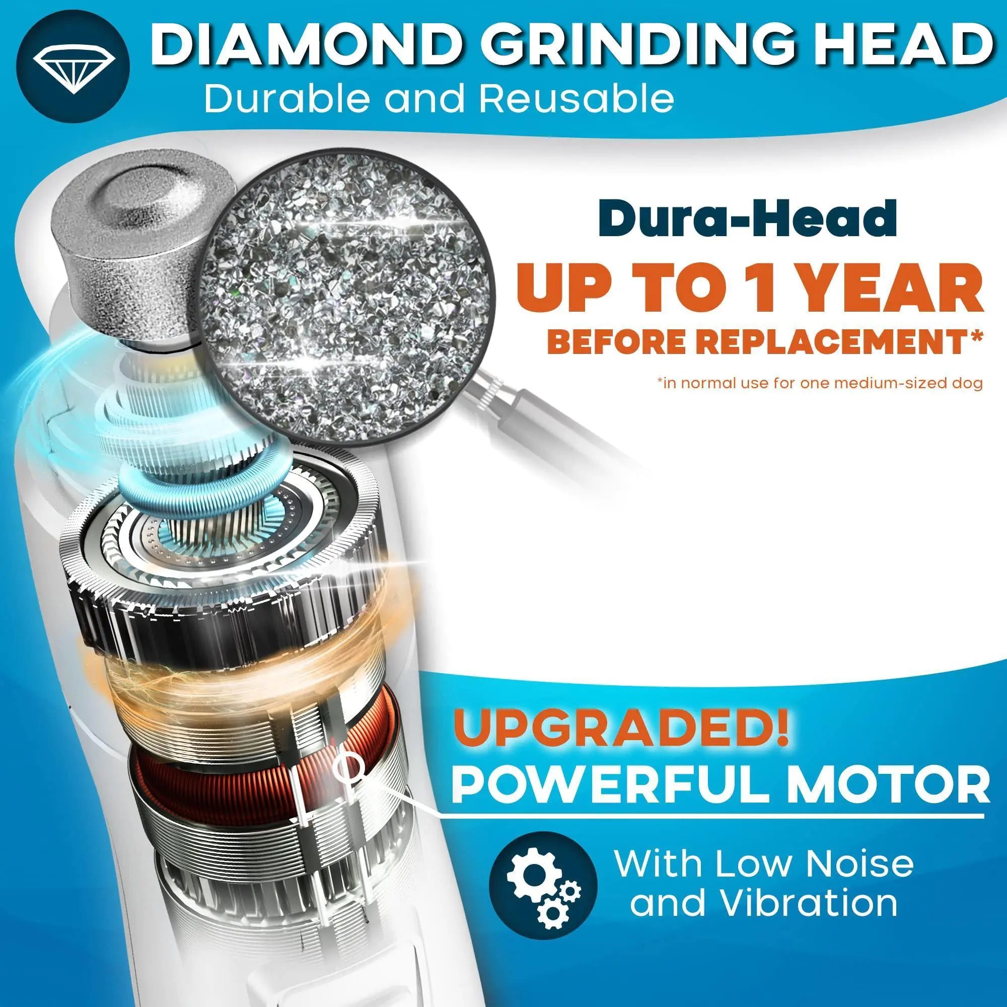 Close-up of a diamond grinding head inside a dog nail grinder showing durable, reusable parts with upgraded powerful motor, low noise, and vibration features